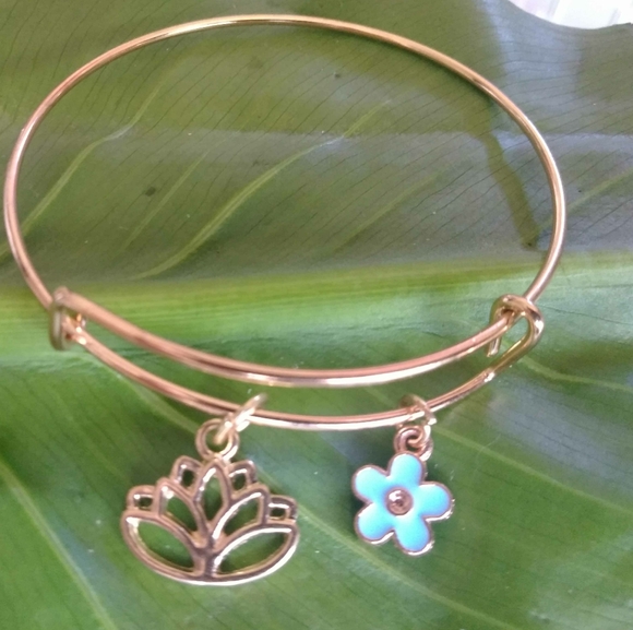 Expandable Charm Bracelets - Picture 12 of 16